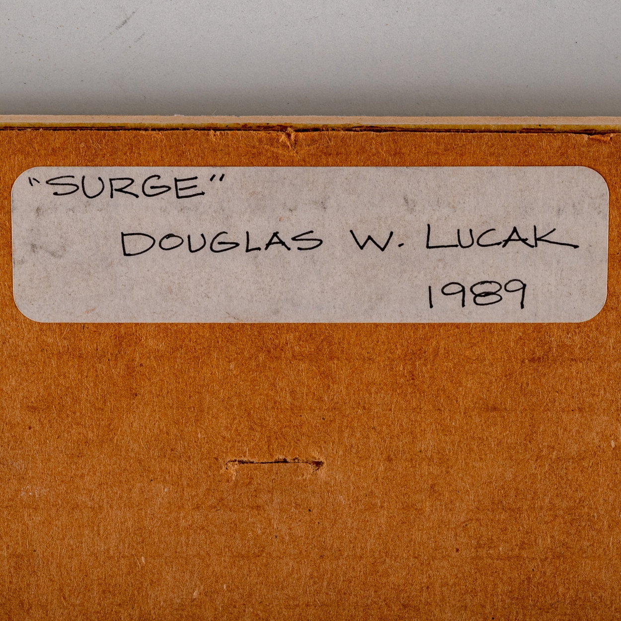 Douglas Lucak | Surge | MutualArt