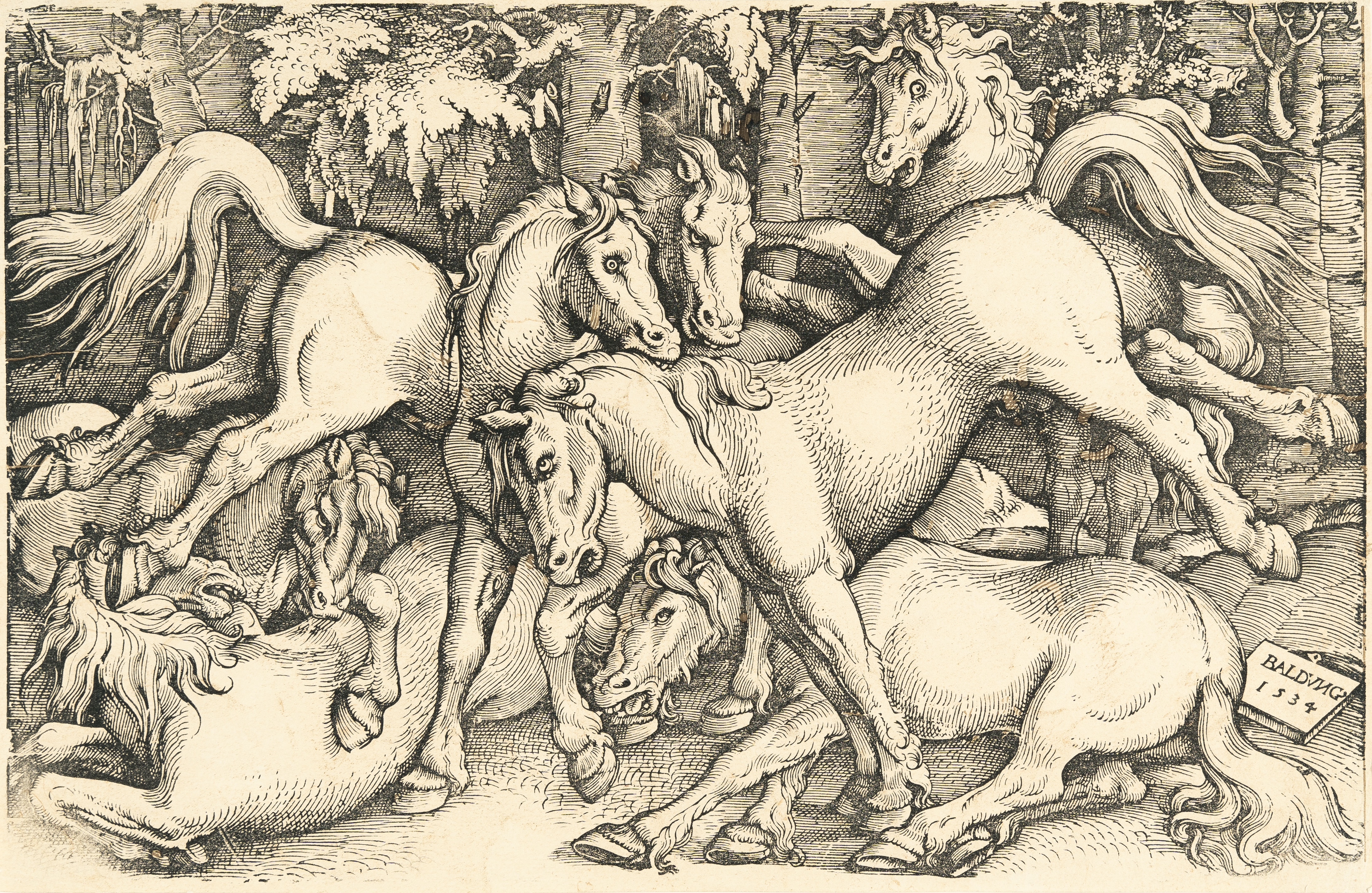 Group of Seven Wild Horses by Hans Baldung Grien, 1534