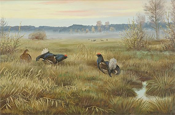 Balzende Auerhähne by Friedrich Reimann