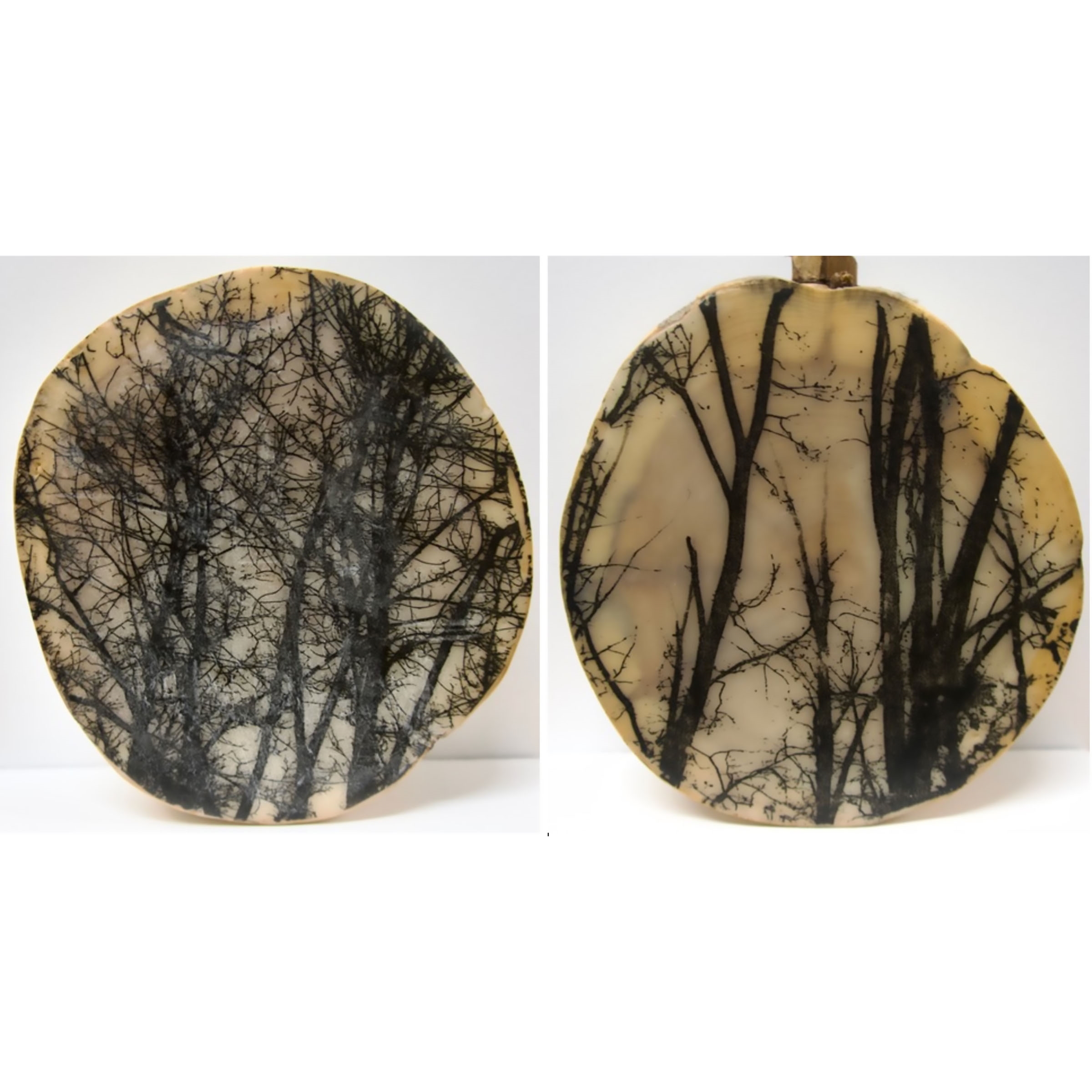 Sandy Middleton | ROOTED & UNTITLED | MutualArt