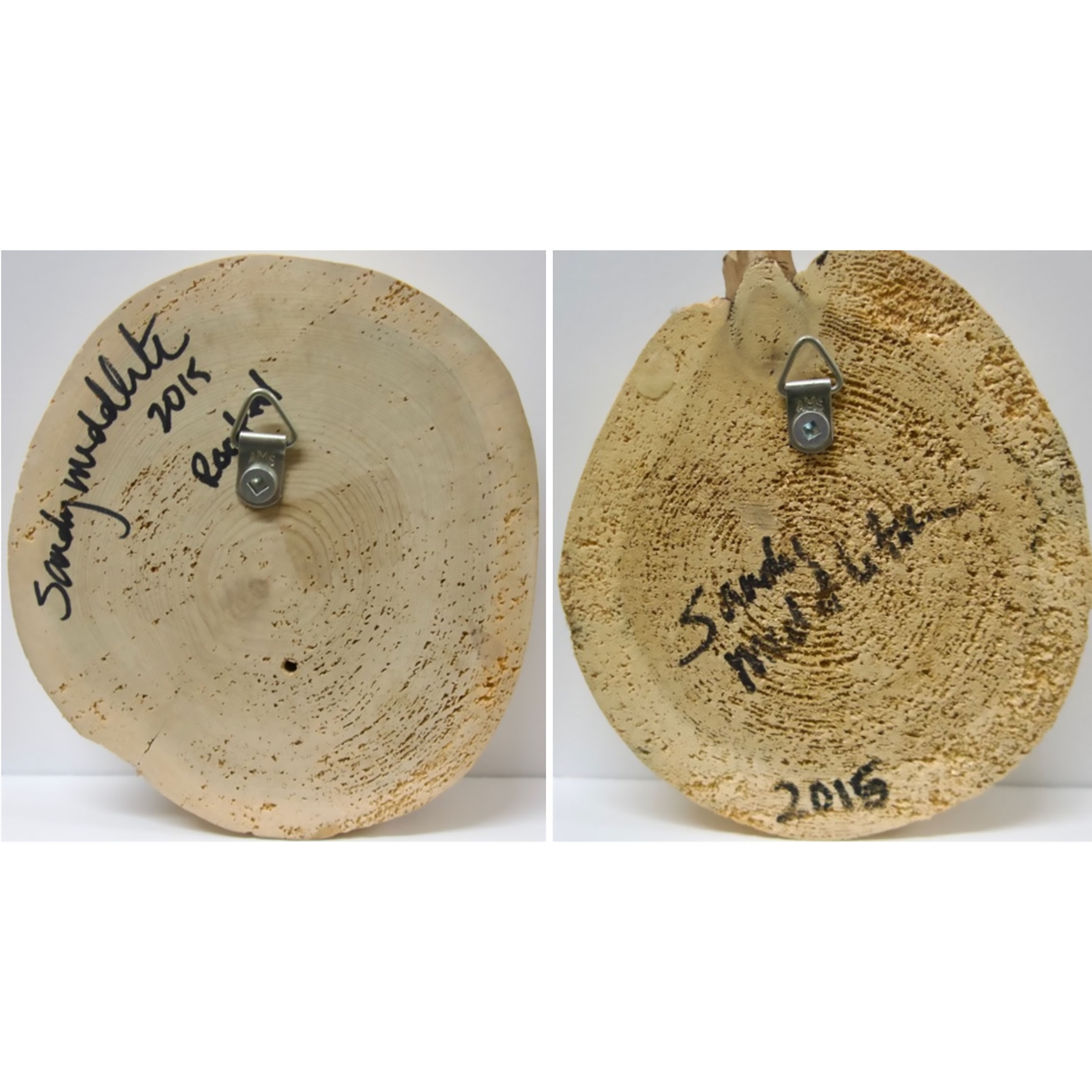 Sandy Middleton | ROOTED & UNTITLED | MutualArt
