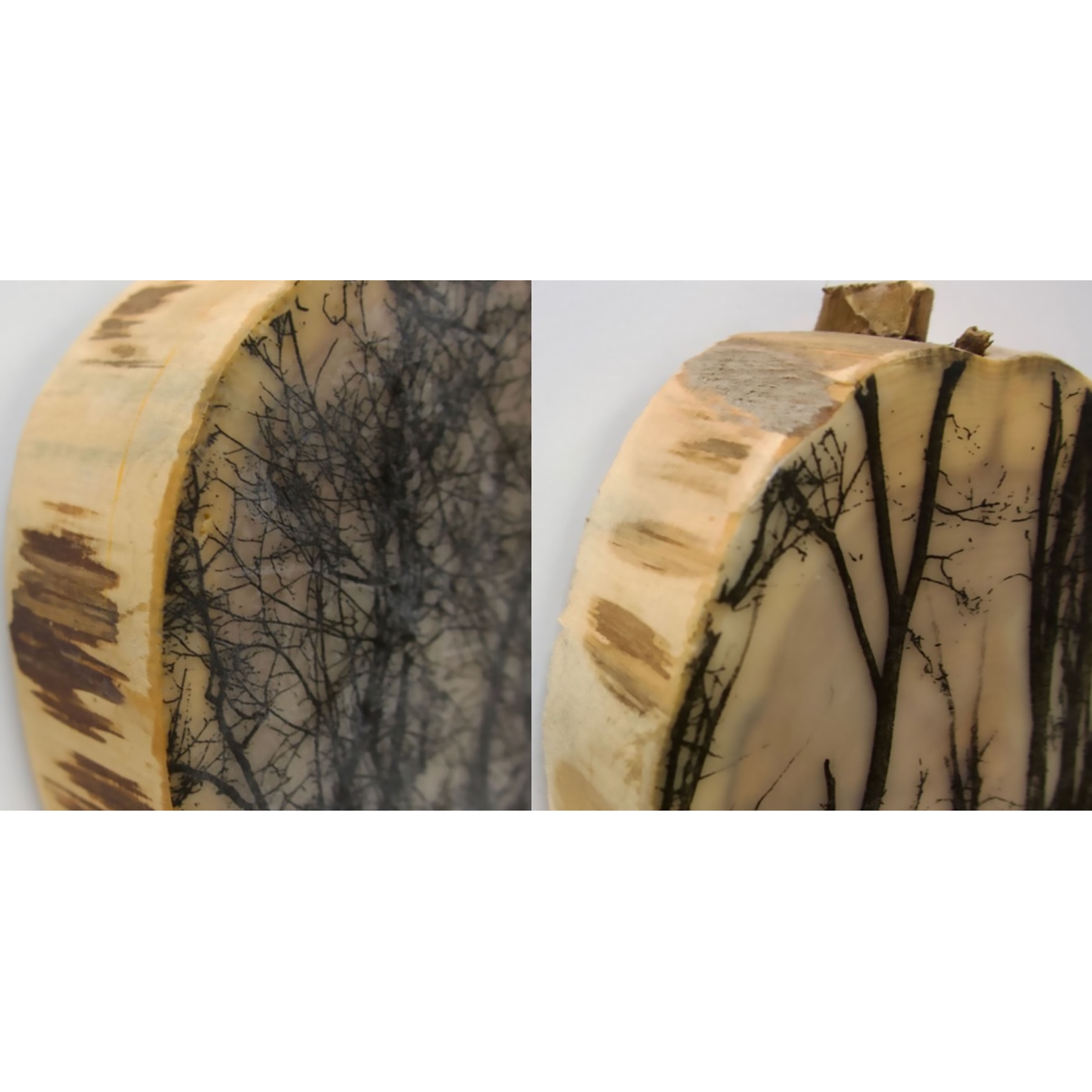 Sandy Middleton | ROOTED & UNTITLED | MutualArt