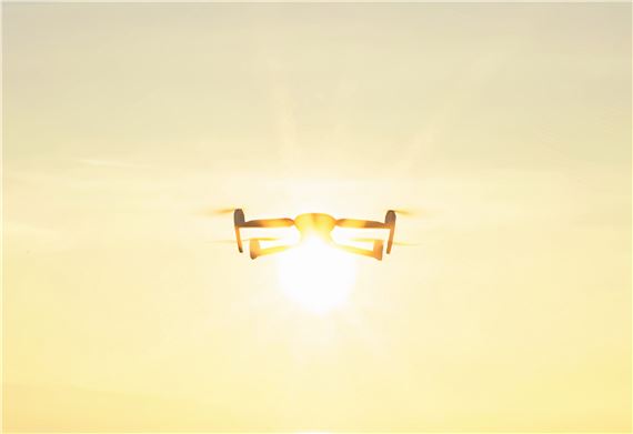 One for the Other - Photo Elysée