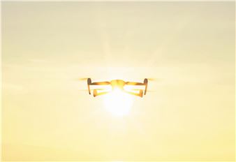 One for the Other - Photo Elysée