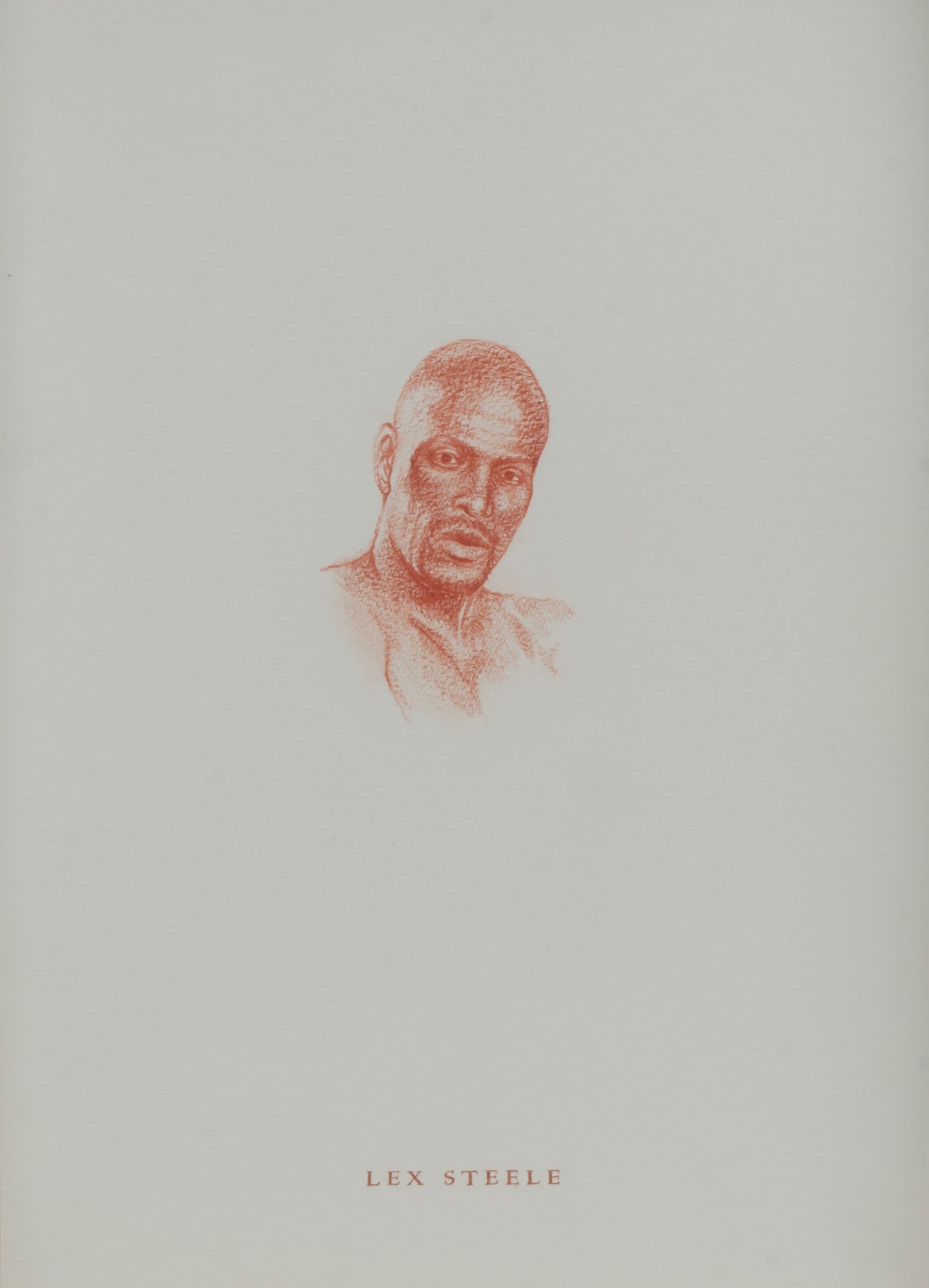 Jamie Shovlin Lex Steele (2006) MutualArt