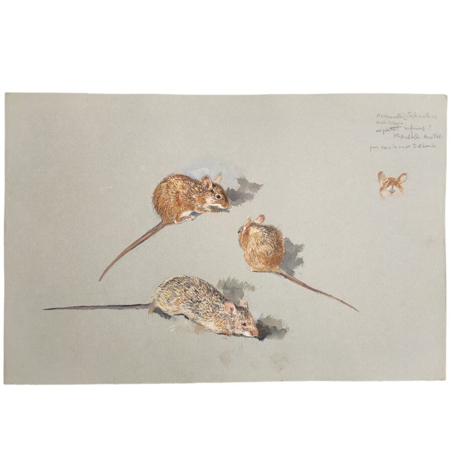 Roger Reboussin | Rats (1948) | MutualArt
