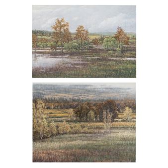 Two Landscapes - Thomas Monaghan