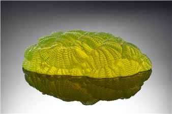 Urania - Aleksandra Kujawska