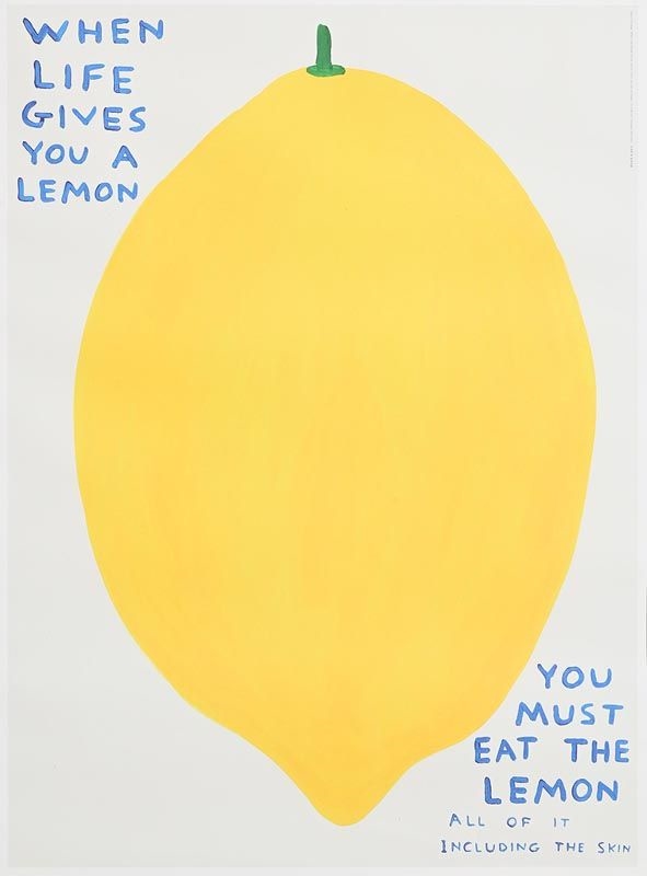 David Shrigley When Life Gives You a Lemon MutualArt