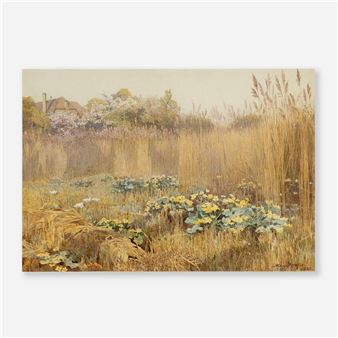 Untitled (Field) - Mary Forster