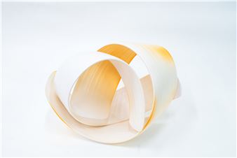 Amnion - Kiya Nancarrow