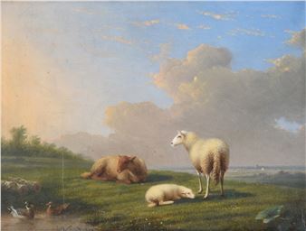 Sheep grazing in an extensive summer pasture - Francois van der Cerdonck