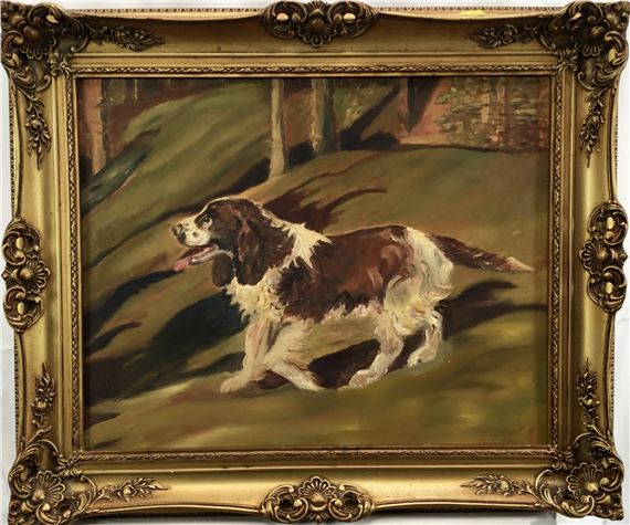 Spaniel - Iris Hase