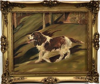 Spaniel - Iris Hase