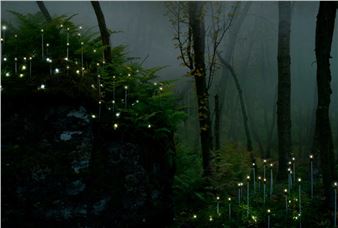 A Lens on Climate Crisis