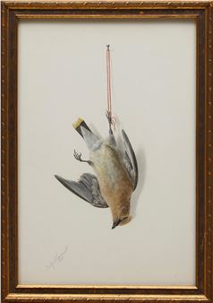 Nature Morte: Cedar Waxwing - Ruby Viavant