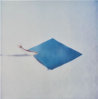 Untitled - Christoph Rütimann