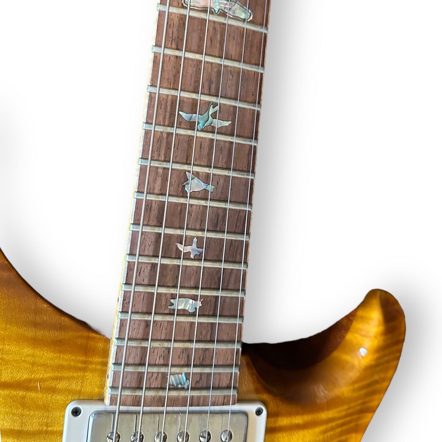 Paul Allen‏ Reed | Paul Reed Smith PRS Private Stock Super Eagle ...