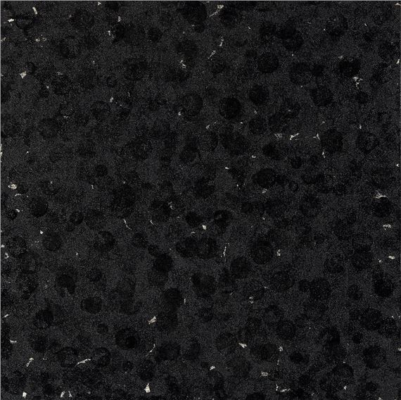 1000 Grapes. by Gerald Ferguson, 1000