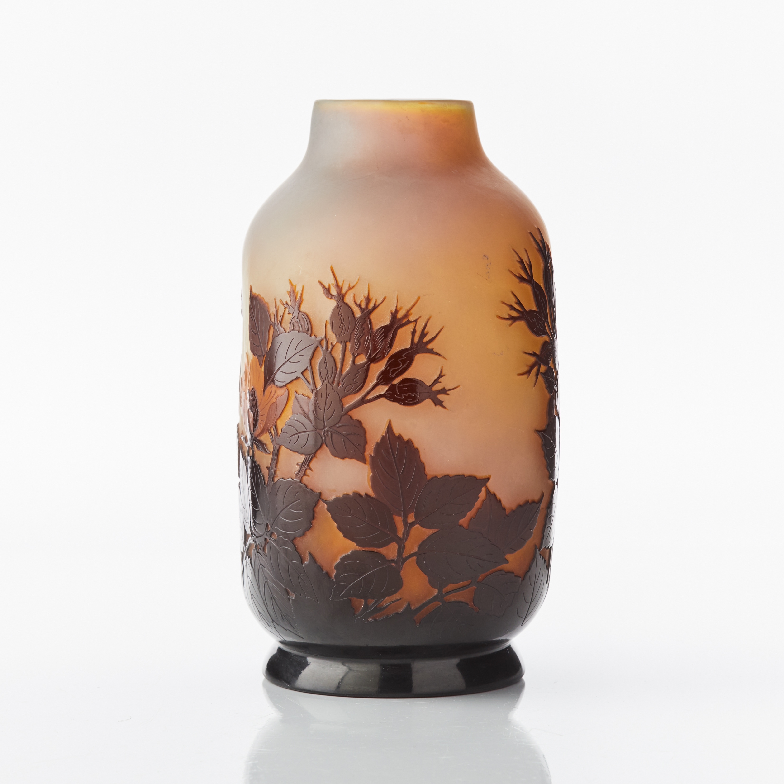 Artwork by Emile Gallé, Vas, Made of cameo glass