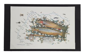 Yellowstone River - David Ruimveld