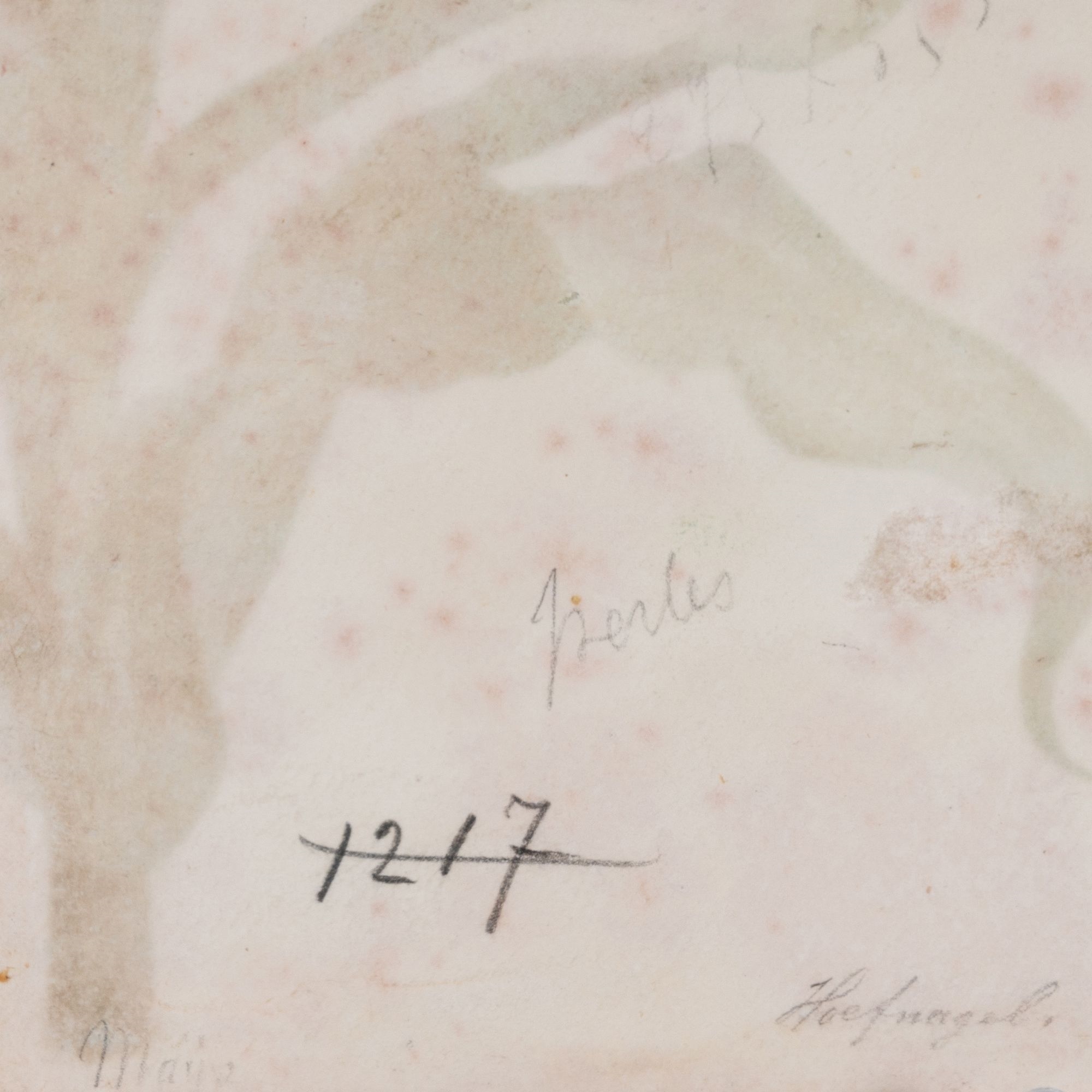 Artwork by Maria Sibylla Merian, Flower with Butterfly, Made of Watercolor on vellum