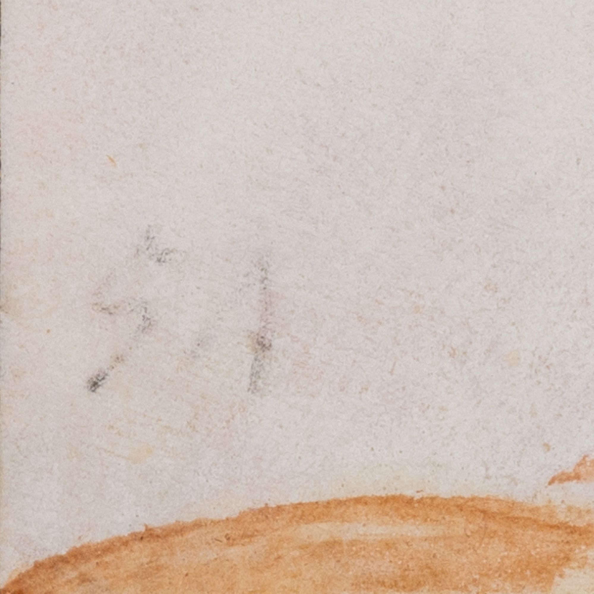 Artwork by Maria Sibylla Merian, Flower with Butterfly, Made of Watercolor on vellum