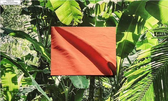 Transcending Physicality: The Essence of Place - SFAC Galleries