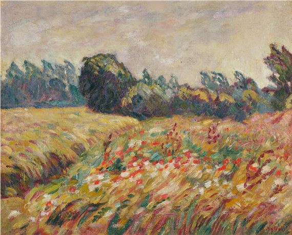 Champ fleuri en Normandie