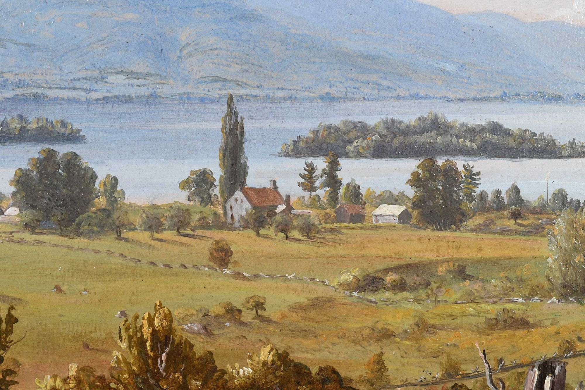 Artwork by Sanford Robinson Gifford, A Sketch From Nature, Made of oil on paper