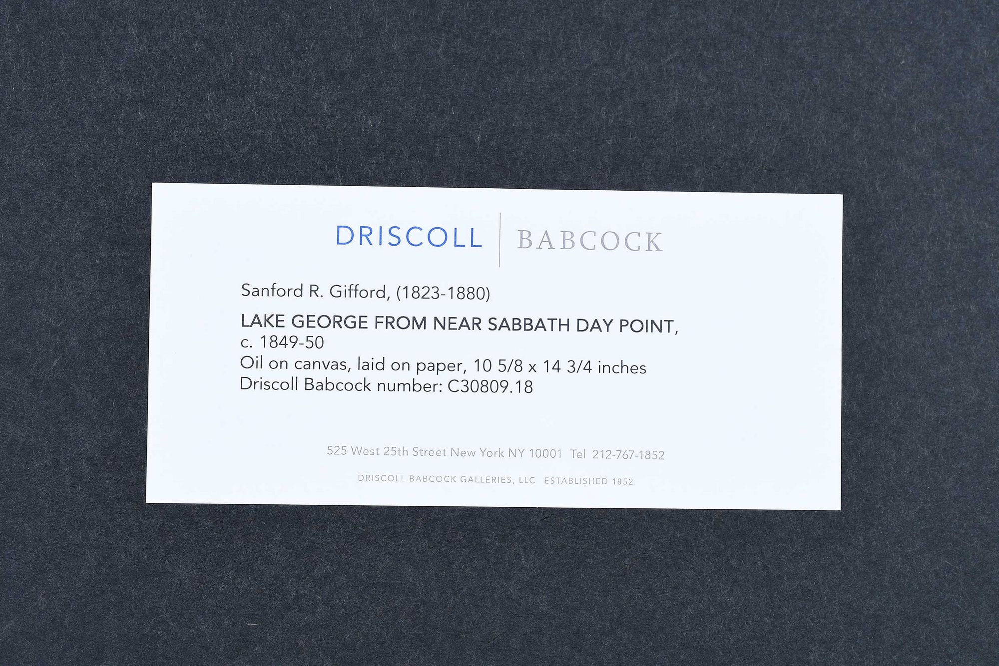 Artwork by Sanford Robinson Gifford, A Sketch From Nature, Made of oil on paper