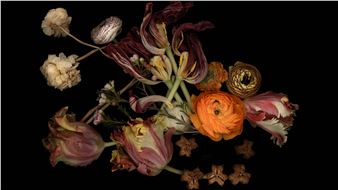 The Artist's Garden - Galerie Conrads