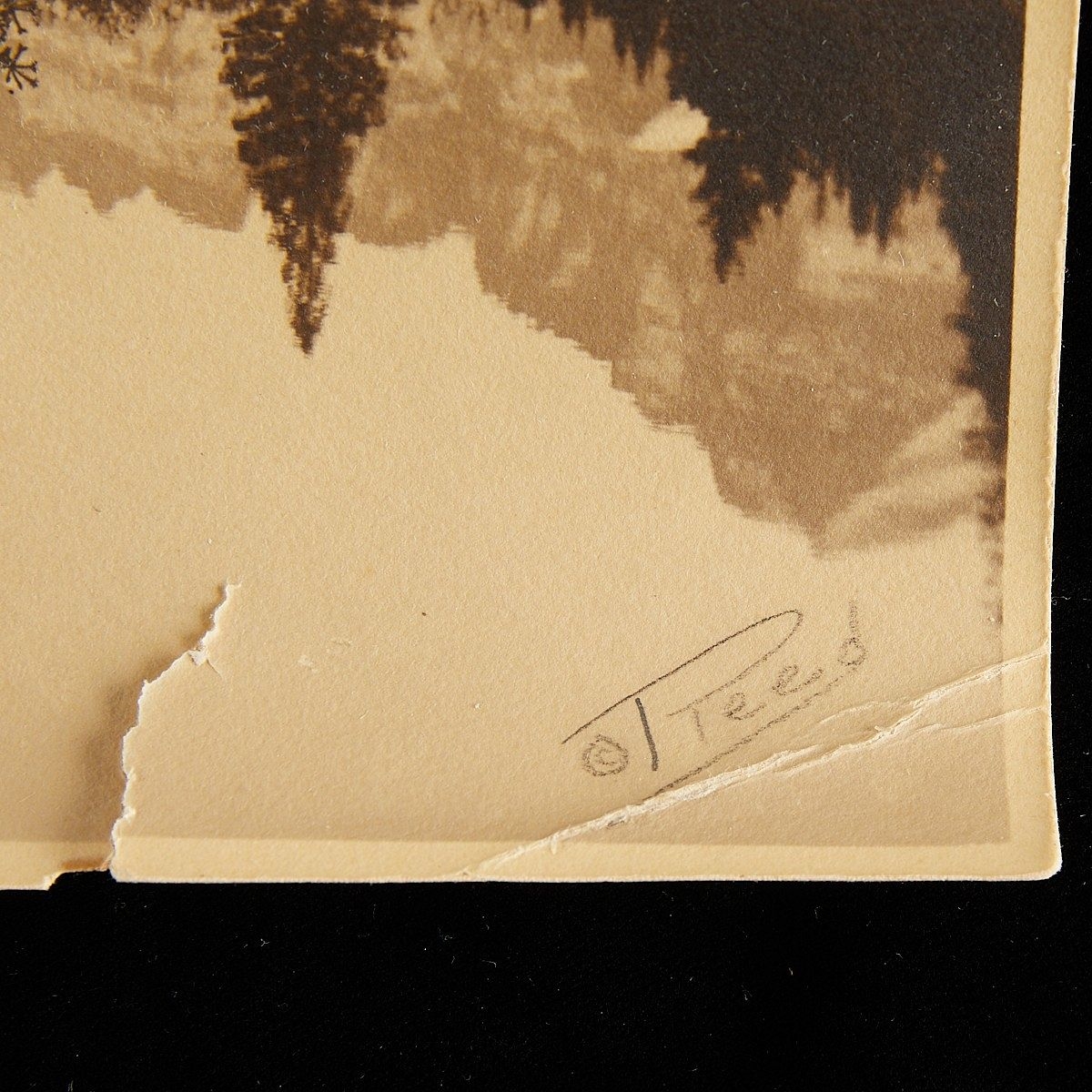 Roland Reed | Roland Reed Photograph The Hunting Ground 1912 (Circa ...