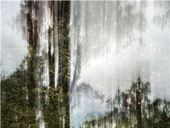 Barry Salzman: How We See The World - Mirko Mayer 
