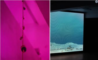 Iceland’s Sequences Festival Is a Rallying Cry for Our World Today