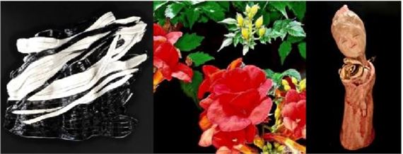 Martine Peccoux & Kayoko Hayasaki: Photographie Et Céramique - Galerie Hayasaki