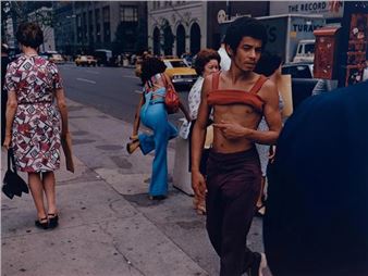 Transformations: American Photographs from the 1970s - Philadelphia Museum of Art