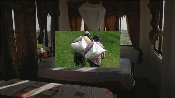 Vishal Jugdeo: Caribbean Television - Commonwealth & Council