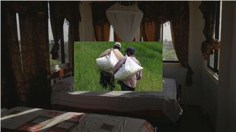 Vishal Jugdeo: Caribbean Television - Commonwealth & Council