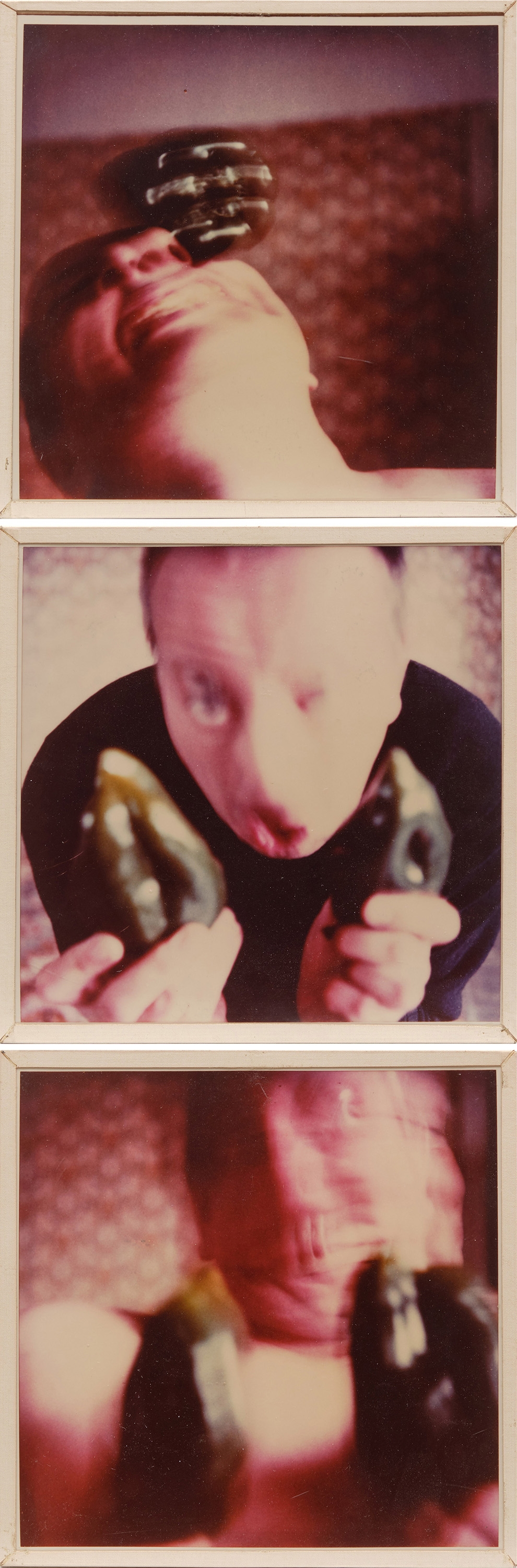 Artwork by Anna & Bernhard Blume, 3er Sequenz aus der Serie "natürlich", Made of Polaroid