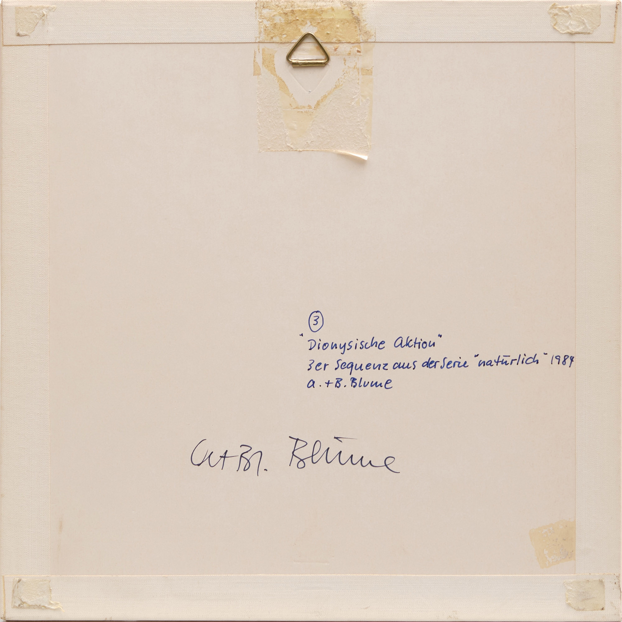 Artwork by Anna & Bernhard Blume, 3er Sequenz aus der Serie "natürlich", Made of Polaroid