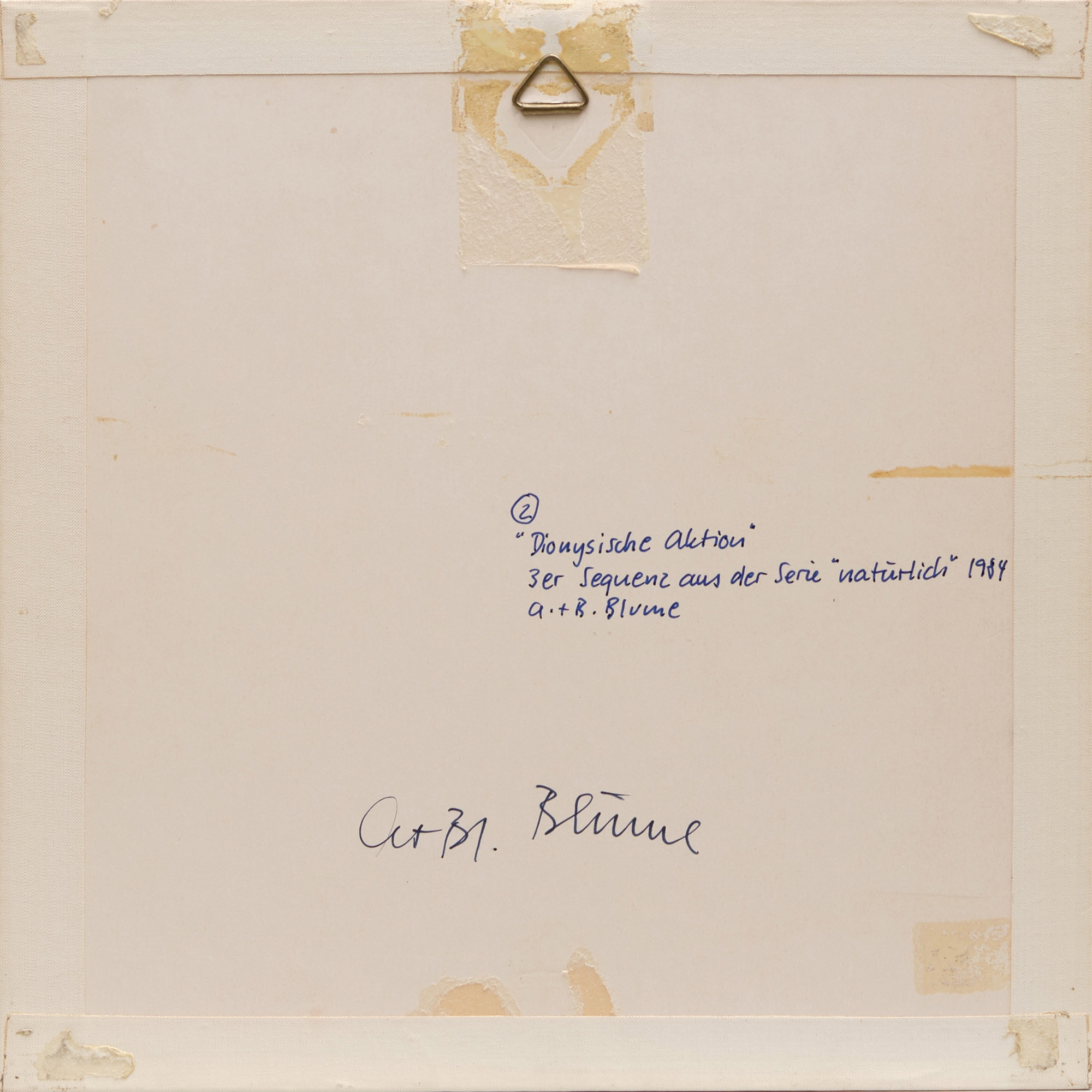 Artwork by Anna & Bernhard Blume, 3er Sequenz aus der Serie "natürlich", Made of Polaroid