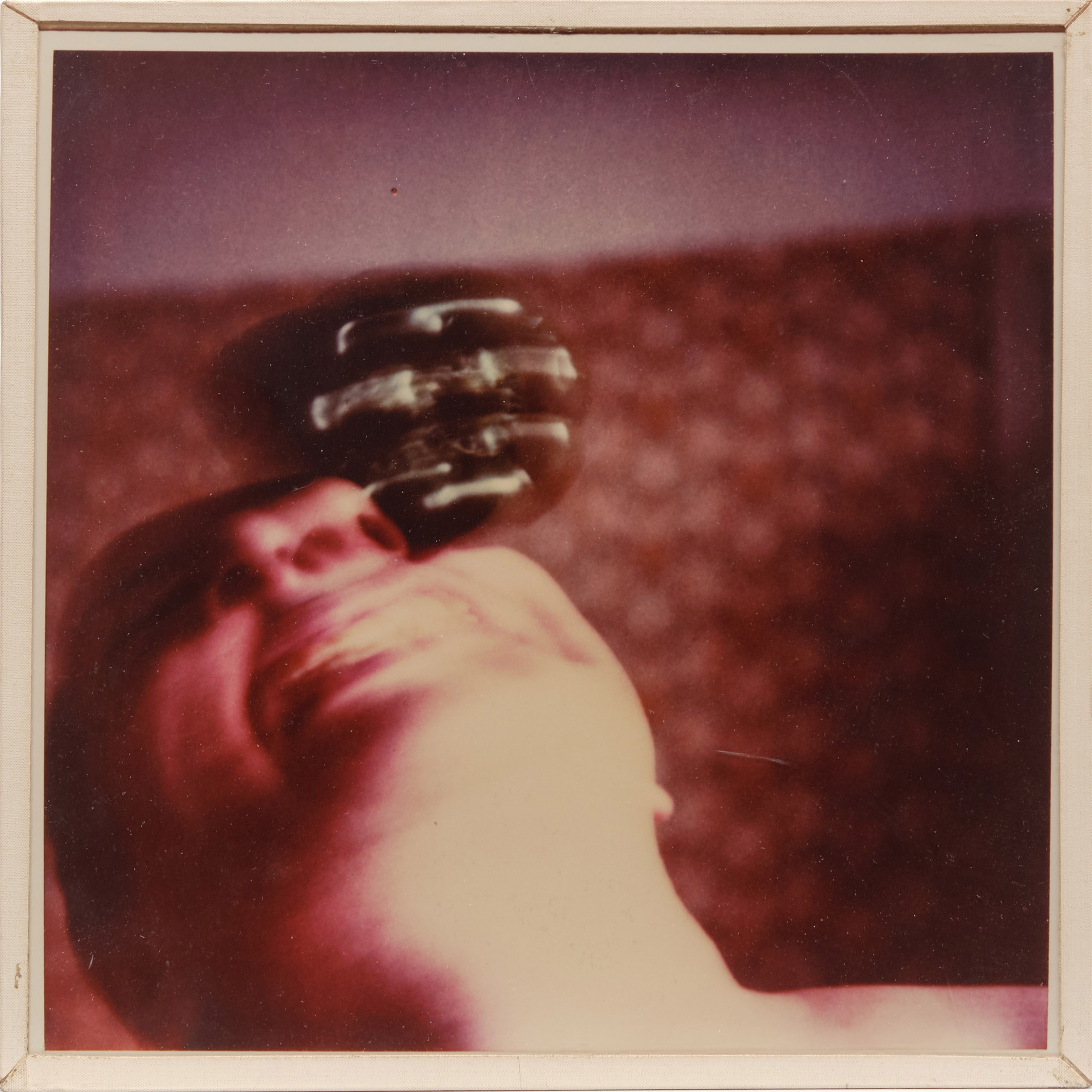 Artwork by Anna & Bernhard Blume, 3er Sequenz aus der Serie "natürlich", Made of Polaroid