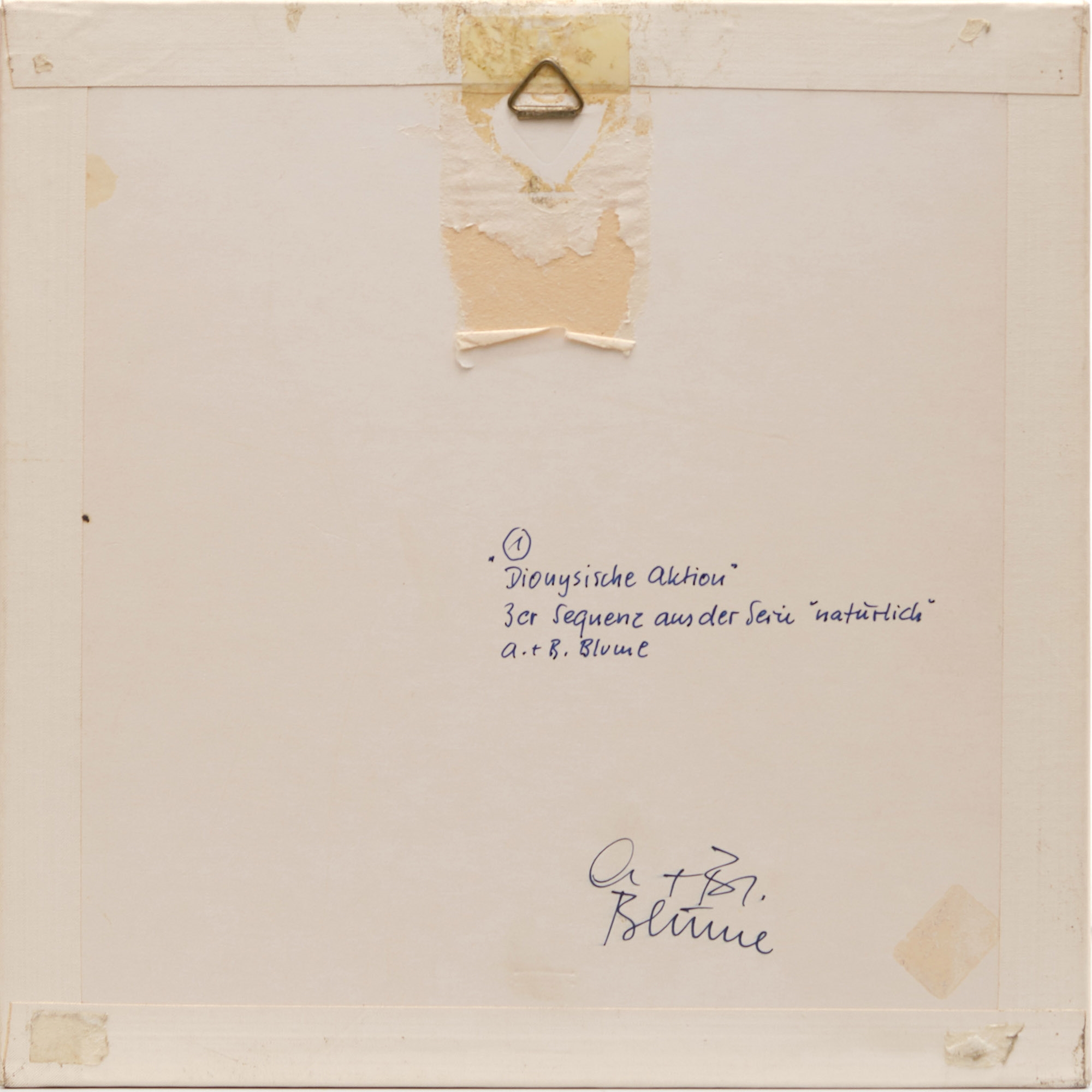 Artwork by Anna & Bernhard Blume, 3er Sequenz aus der Serie "natürlich", Made of Polaroid