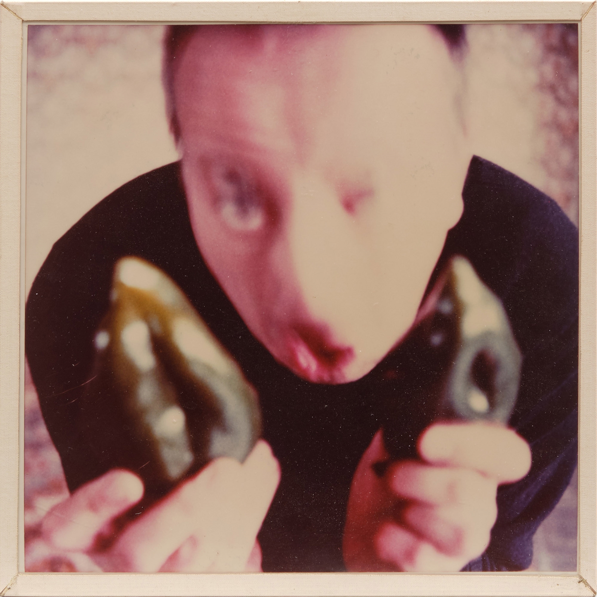 Artwork by Anna & Bernhard Blume, 3er Sequenz aus der Serie "natürlich", Made of Polaroid