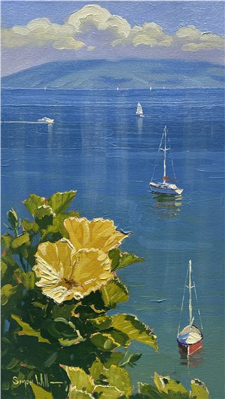 Simon Williams (New Zealander by Simon Williams