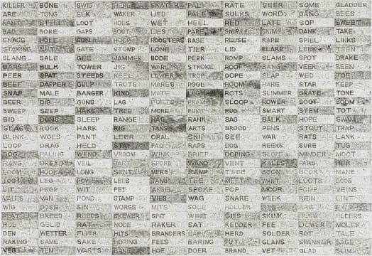Artwork by Willem Boshoff, Word Woes, Made of etching on paper