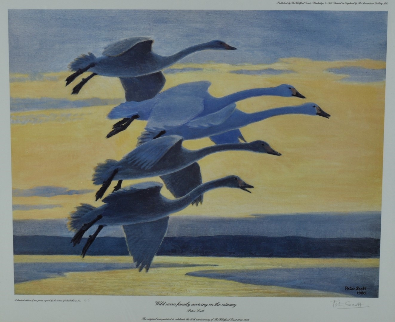 Peter Markham Scott | Wild swan family arriving on the estuary | MutualArt
