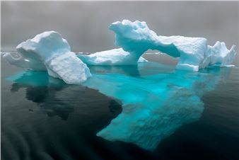 Pixel Printers of Santa Cruz Present: Through Our Eyes  - Coastal Arts League Gallery