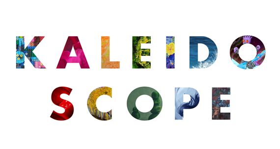 Kaleidoscope: Creative Guts - Rochester Museum of Fine Arts